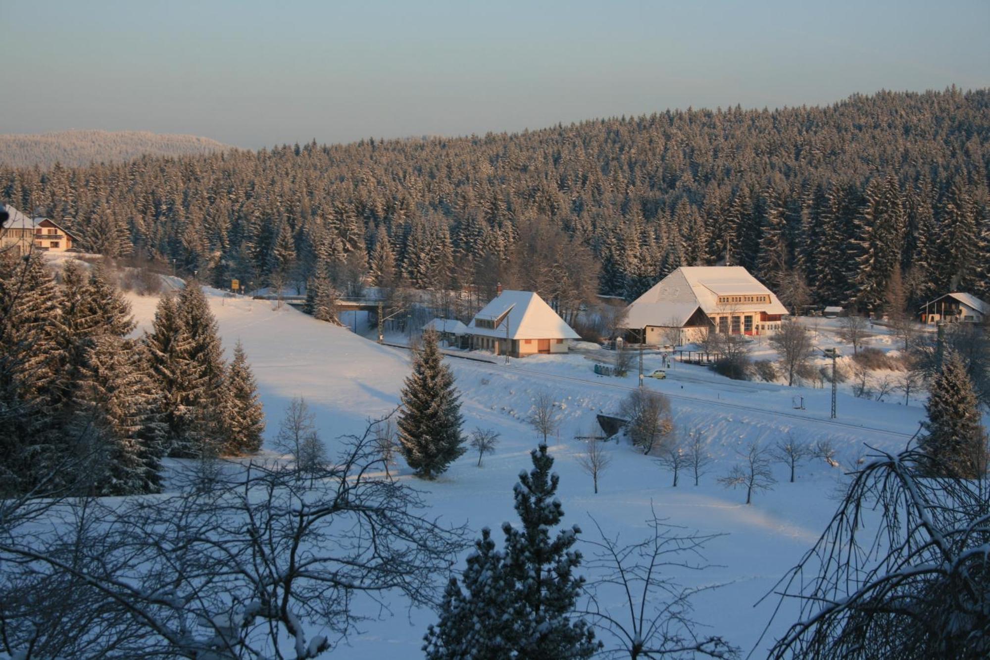 Hotel Waldeck Mit Restaurant "Florian'S" Feldberg  Zewnętrze zdjęcie