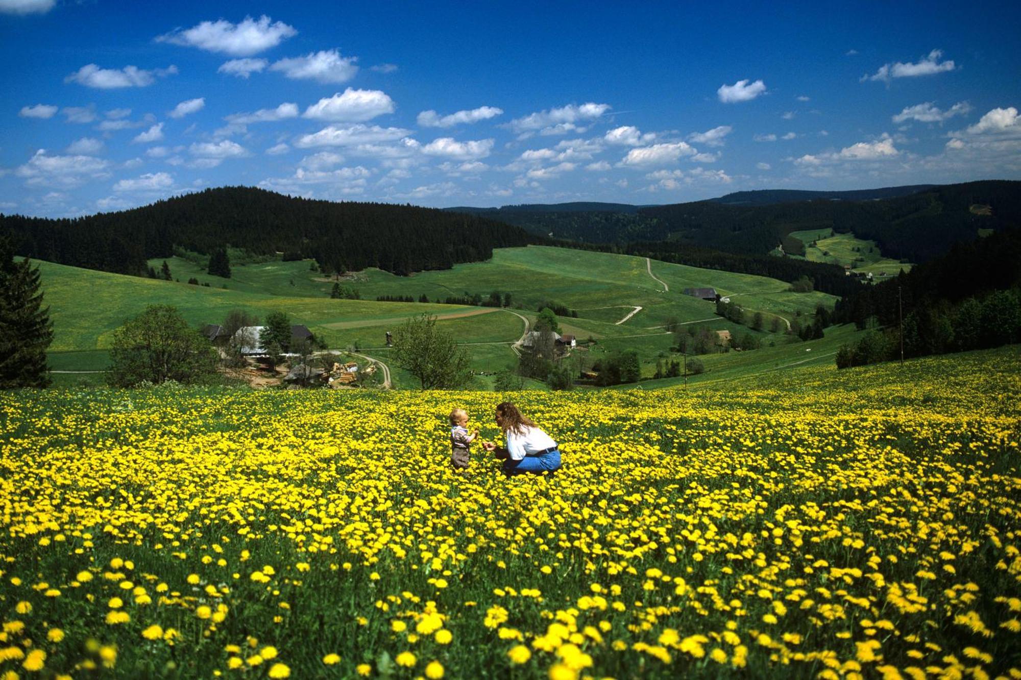 Hotel Waldeck Mit Restaurant "Florian'S" Feldberg  Zewnętrze zdjęcie
