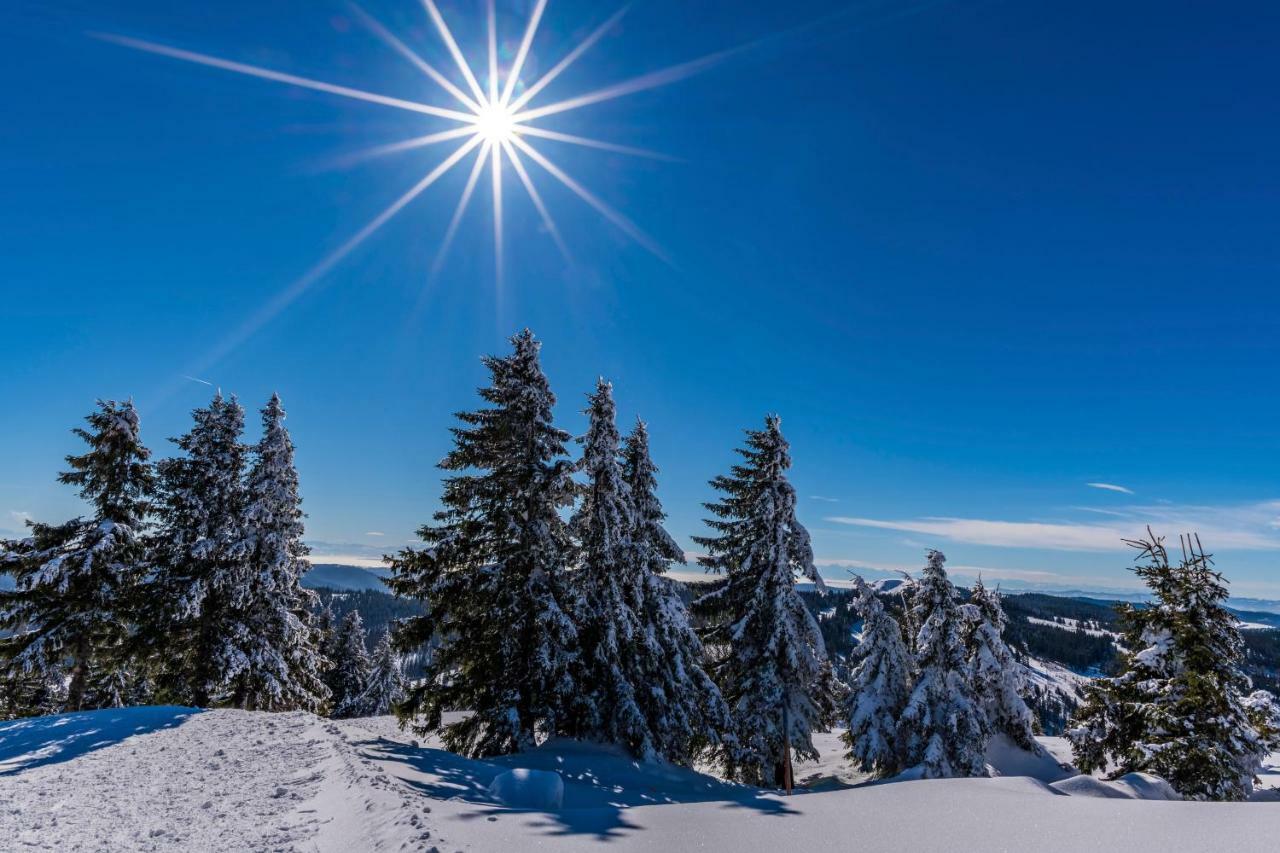 Hotel Waldeck Mit Restaurant "Florian'S" Feldberg  Zewnętrze zdjęcie